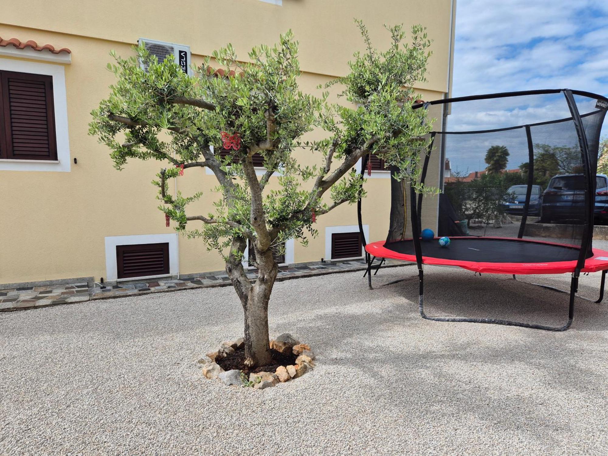 Apartment Vinja Porec - Privat Garden - Whirlpool Kültér fotó